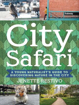 cover image of City Safari